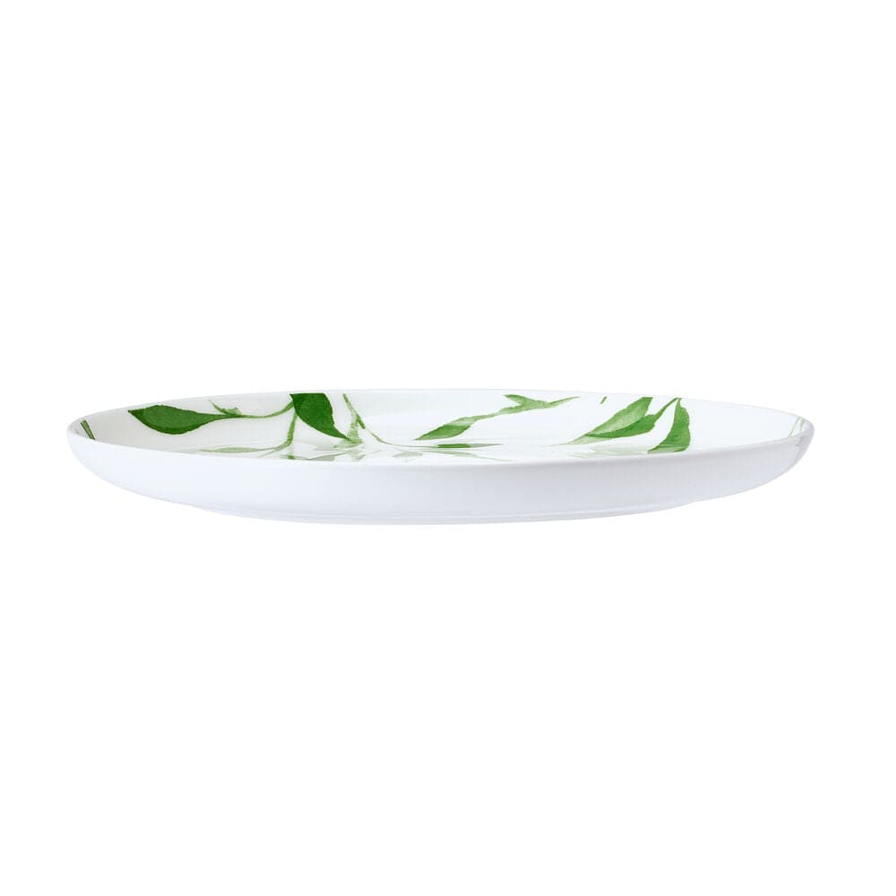Akira Vegan Bone? Set of 4 Salad Plates - Image 5