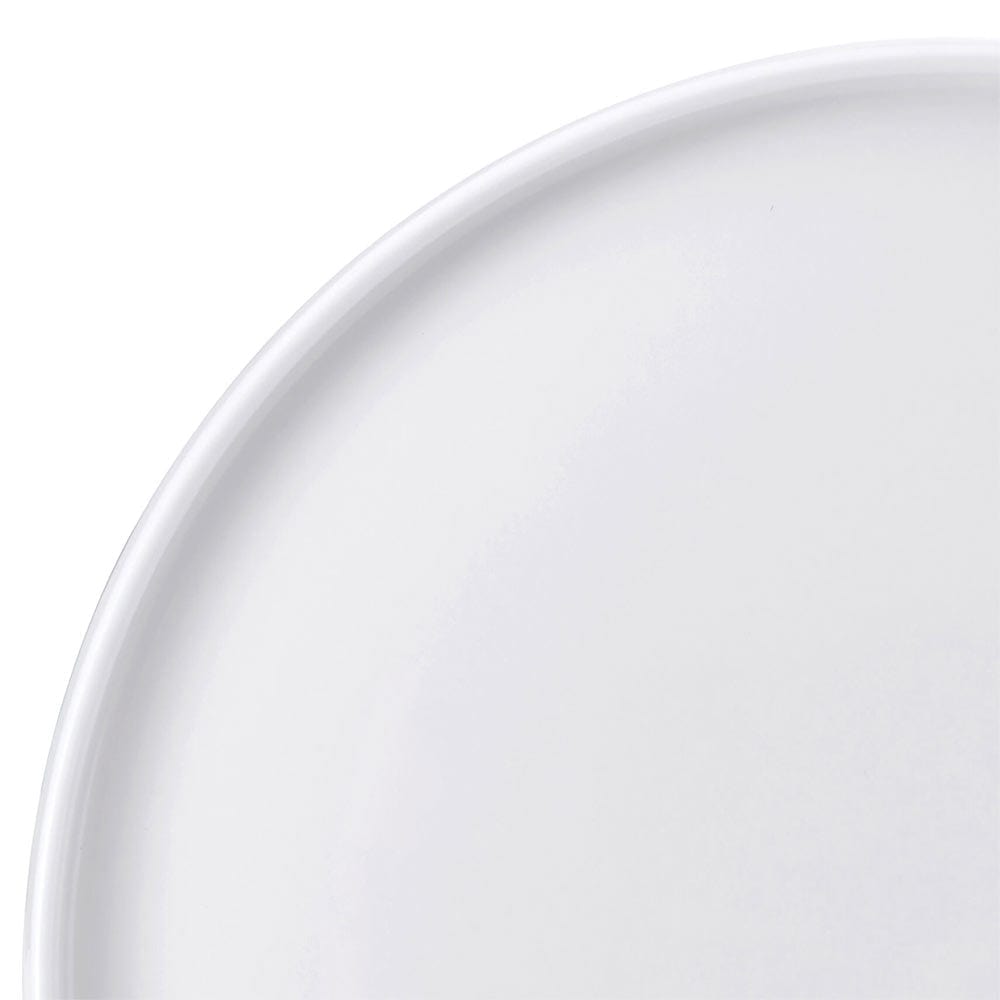 Sloane Set of 4 Dinner Plates - Image 4